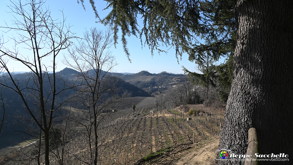 VBS_0668 - Madonna dei Boschi - Vezza d'Alba.jpg